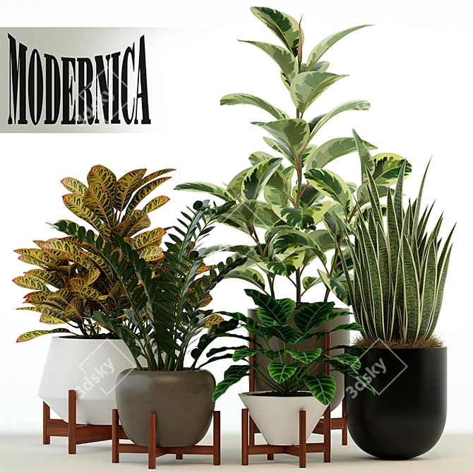 Sleek Collection of 75 Modernica Pots 3D model image 1