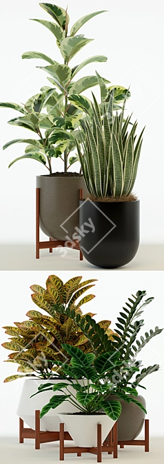 Sleek Collection of 75 Modernica Pots 3D model image 2