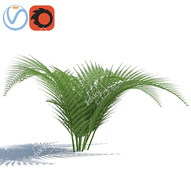  Breezy Fern - Lifelike Wind Effect 3D model image 1