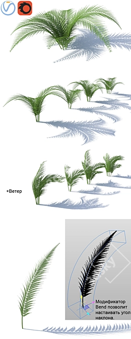  Breezy Fern - Lifelike Wind Effect 3D model image 2