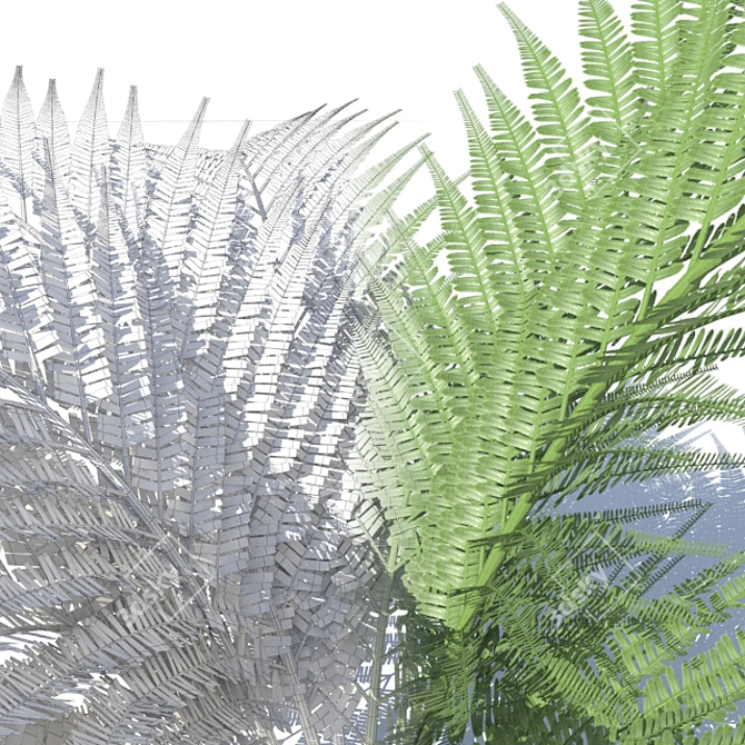  Breezy Fern - Lifelike Wind Effect 3D model image 3