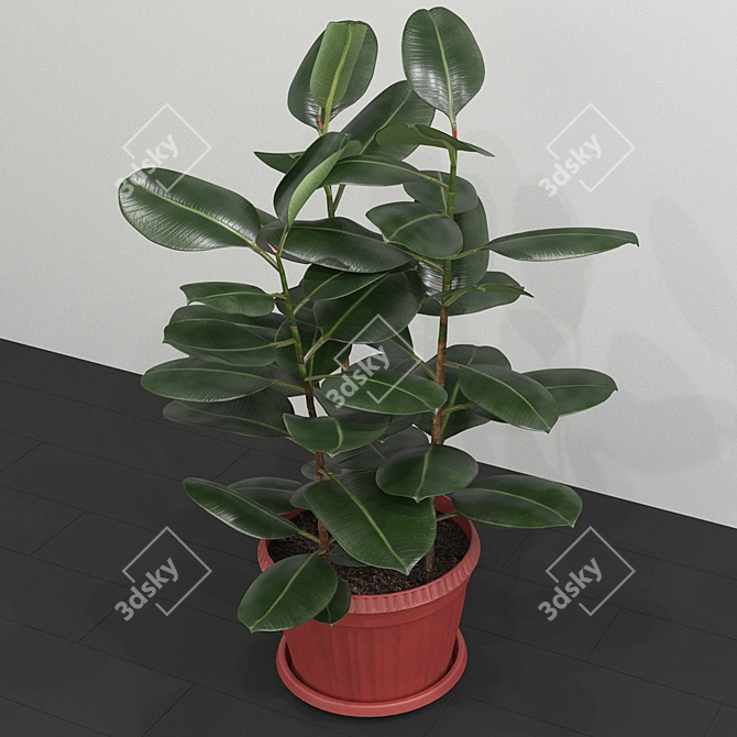 Title: Elegant Ficus Elastica Planter 3D model image 2