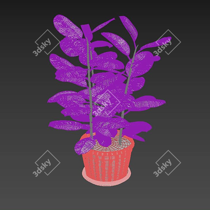 Title: Elegant Ficus Elastica Planter 3D model image 3