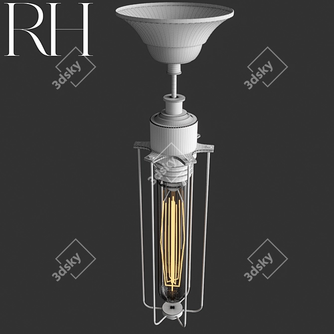 Vintage Industrial Edison Cage Pendant 3D model image 3