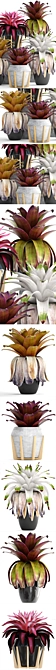 Tropical Bromelia: Exotic Collection of Plants 3D model image 2