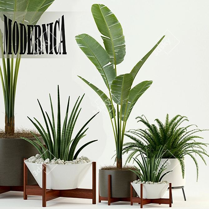 Modernica Pots: Stylish Plant Collection 3D model image 1