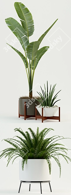 Modernica Pots: Stylish Plant Collection 3D model image 2