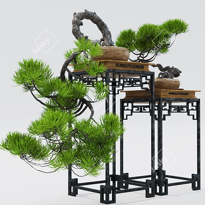 Decorative Bonsai Plant 3D model image 1