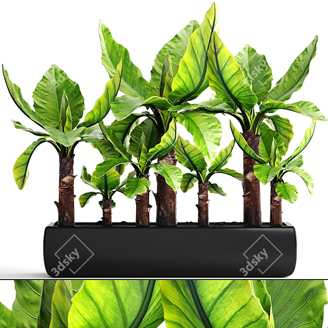 Exotic Typhonodorum Lindleyanum: Tropical Collection 3D model image 1