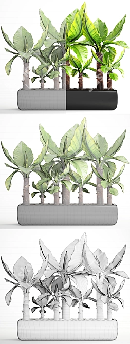 Exotic Typhonodorum Lindleyanum: Tropical Collection 3D model image 3