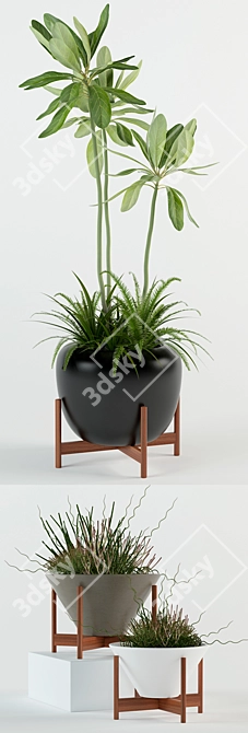 77 Modernica Pots for Stylish Plant Collection 3D model image 2