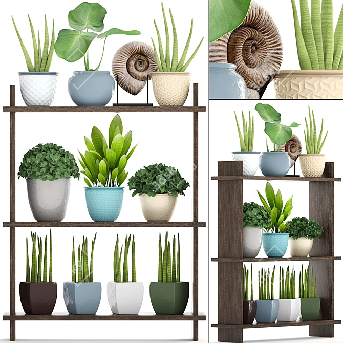 Tropical Plant Collection: Sansevieria, Palm Grass & More 3D model image 1