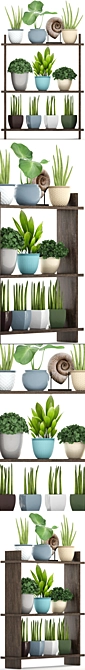 Tropical Plant Collection: Sansevieria, Palm Grass & More 3D model image 2