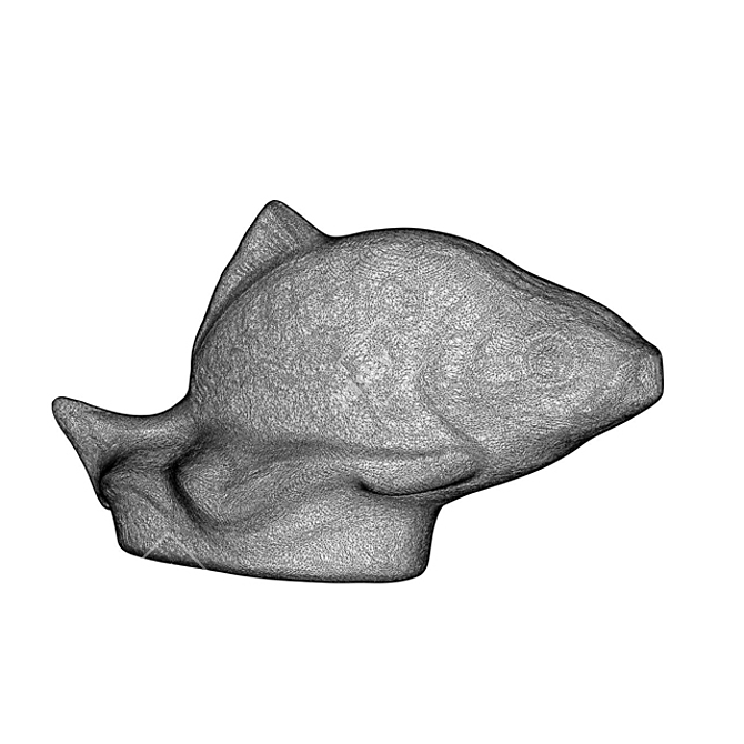 3D Carp Models 3D model image 3