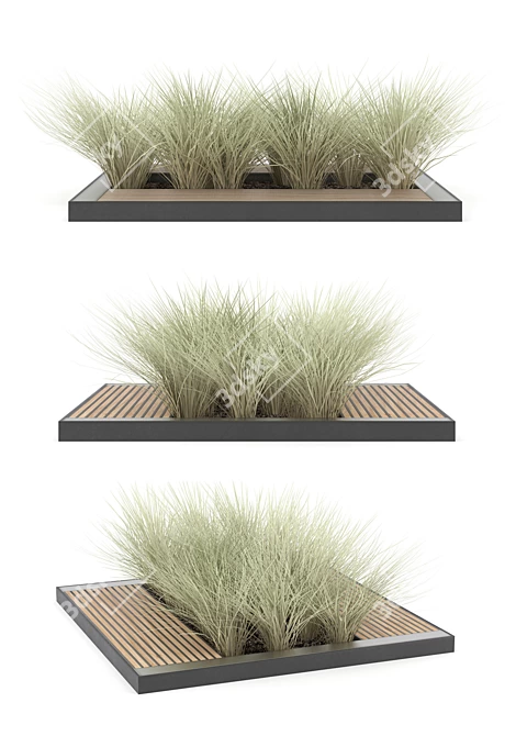 Versatile Tree Model Collection 3D model image 2