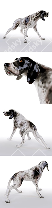 Porcelain Pointer Dog Figurine (23cm) 3D model image 2