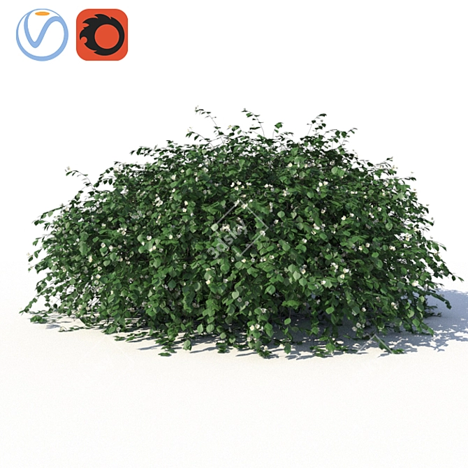 Title: Jasmine Bush with Ground-Lying Branches 3D model image 1