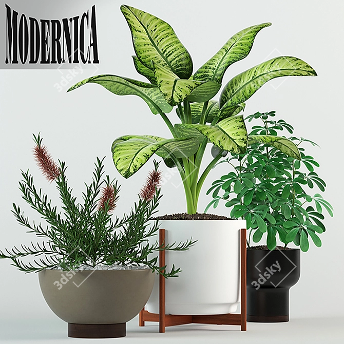 Modernica Pots Collection 3D model image 1