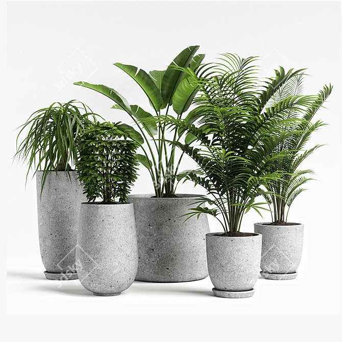 Versatile Plants Set 04: Maximize Your Visuals 3D model image 1