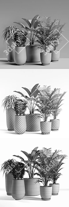 Versatile Plants Set 04: Maximize Your Visuals 3D model image 3