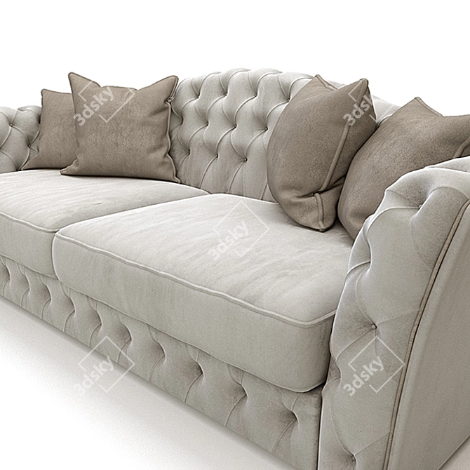 Sleek Simpatico Sofa 3D model image 3