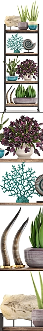 Tropical Decor Set: Shelf, Statuette, Plants 3D model image 2