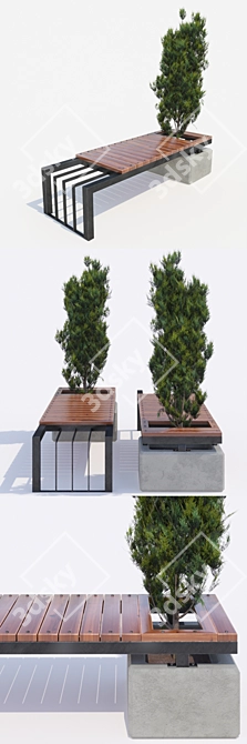 Elegant Bench with Thuja: Stylish Outdoor Seating 3D model image 2