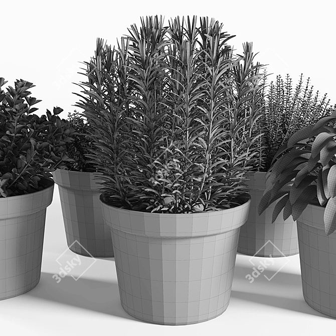 Tropical Plant Collection 3D model image 3