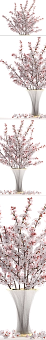 Cherry Blossom Delight: 24 White Blooms 3D model image 2