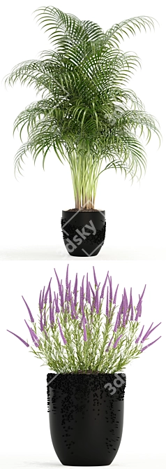 97 Marvelous Plant Assortment 3D model image 2