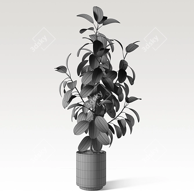 Elegant Ficus Elastica: 3ds Max, OBJ, V-Ray, 2009, 2015 3D model image 7