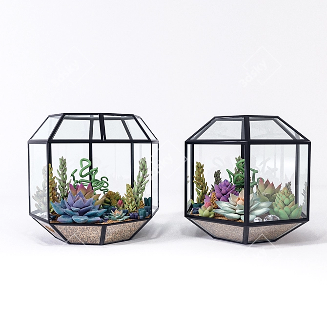 Colorful Succulents in Florarium 3D model image 1