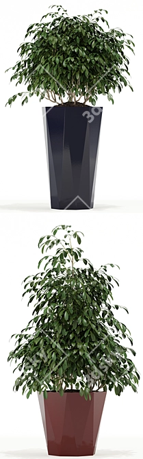 Modern FACET Planters: Elevate Your Space 3D model image 2