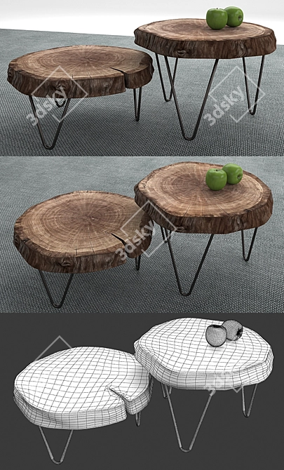 Natural Wood Slice Tables Set 3D model image 2