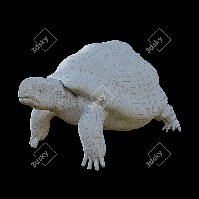 Bronze Turtle Figurine - Exquisite Artwork 3D model image 3
