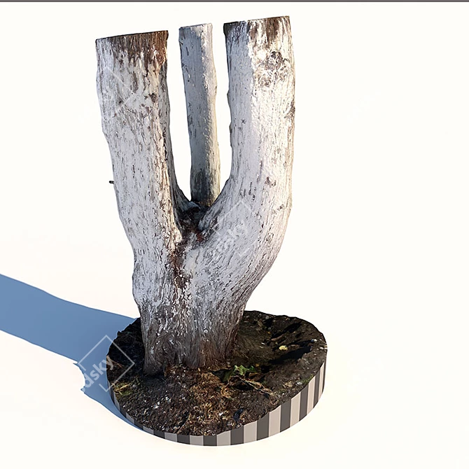 Natural Tree Trunk Sculpture 3D model image 2