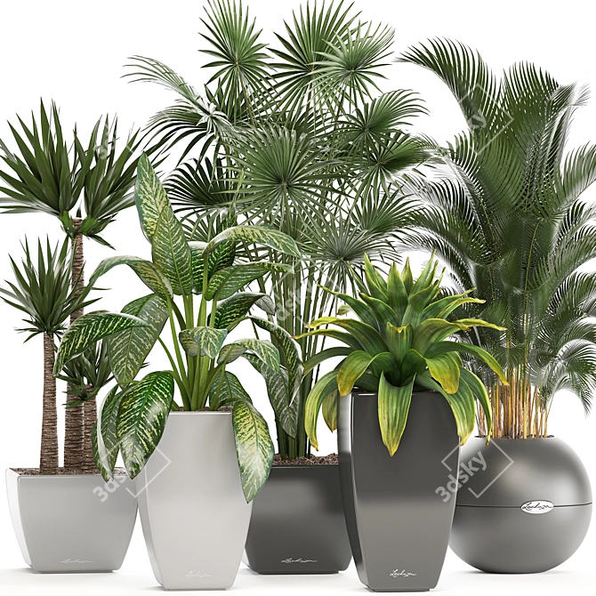 Gorgeous Indoor Plant Collection 3D model image 1
