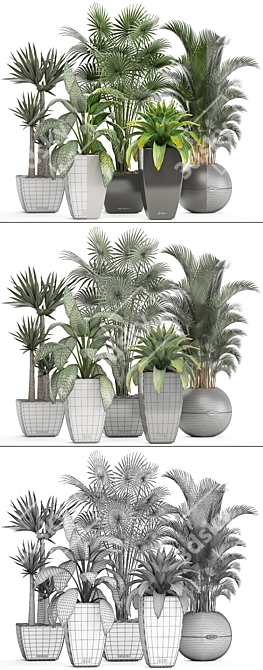 Gorgeous Indoor Plant Collection 3D model image 3