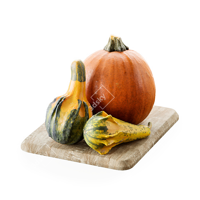 Autumn Harvest: Scanned 3D Pumpkins 3D model image 3