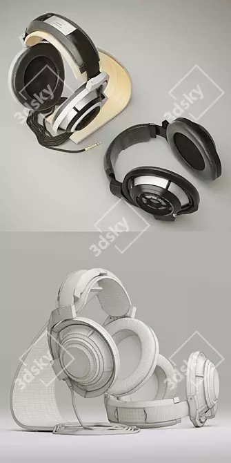 Sleek Sennheiser HD800 Headphones 3D model image 3