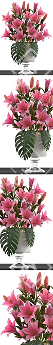 Title (English): Elegant Lily Collection 3D model image 2