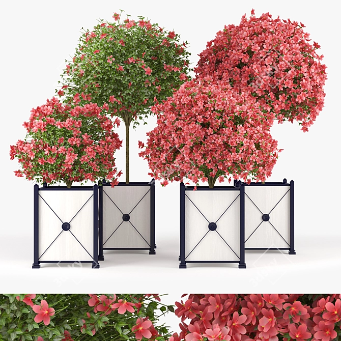 SeminolePink Hibiscus: 3D Archival Collection 3D model image 1