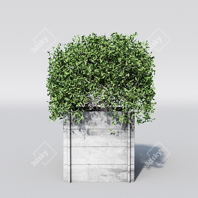Round Plant: 3Dmax 2014 Archive 3D model image 3