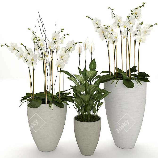 Exotic Beauty: Orchid & Spatiphyllum 3D model image 1