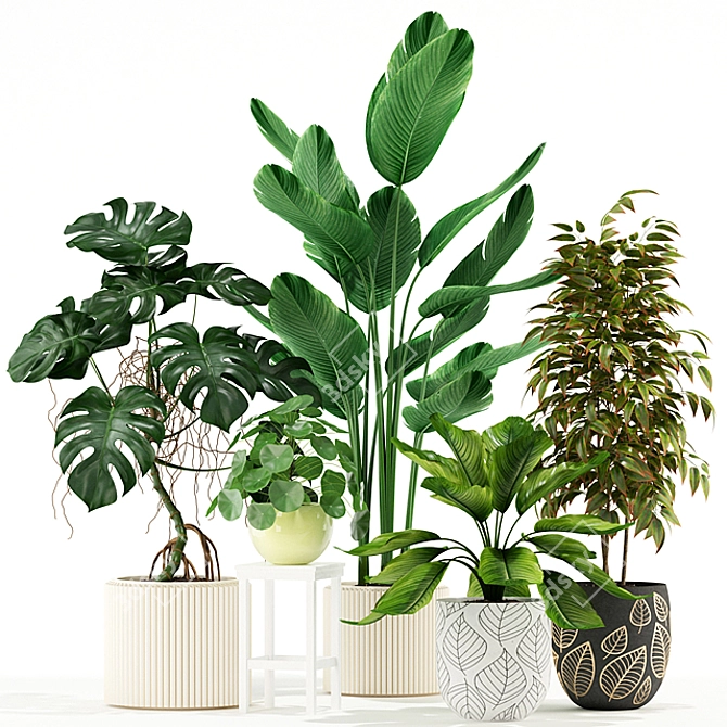 Greenery Galore: 117 Delightful Plant Varieties 3D model image 1