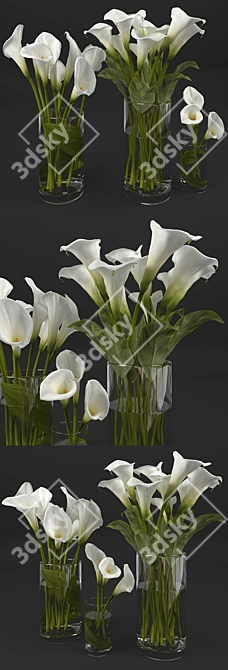 Elegant Calla Lily Bouquets
(Translated from Russian: Элегантные букеты Каллы) 3D model image 2