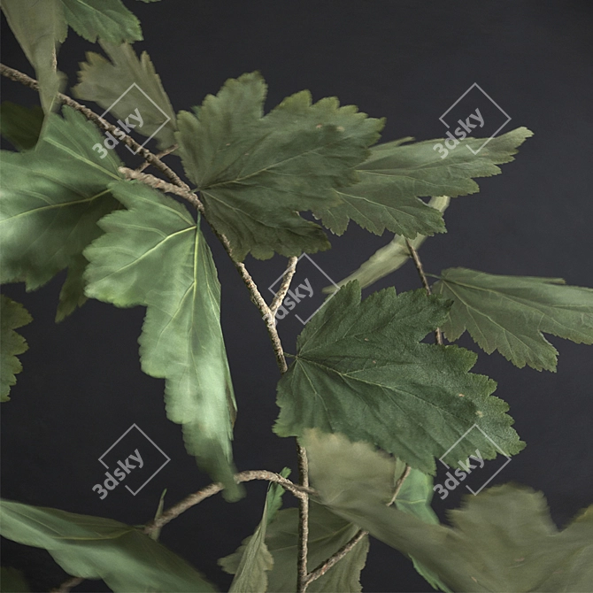 Scandinavian Greenery: Nordic-Style Plant 3D model image 2