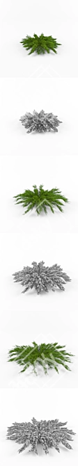 Juniper Horizontal Collection 3D model image 2