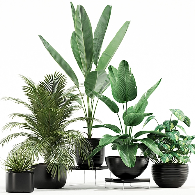 Unique Plant Collection 119 3D model image 1