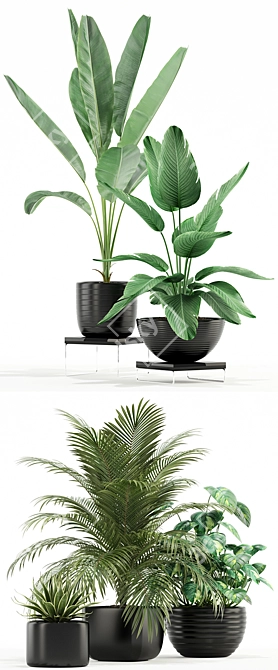 Unique Plant Collection 119 3D model image 2